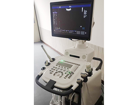 Medical Ultrasonography 4D Trolley Color Doppler Ultrasound Machine